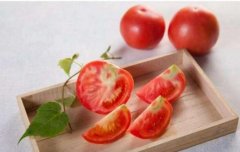 减肥期间为什么不建议大量吃西红柿？ 不利于减肥